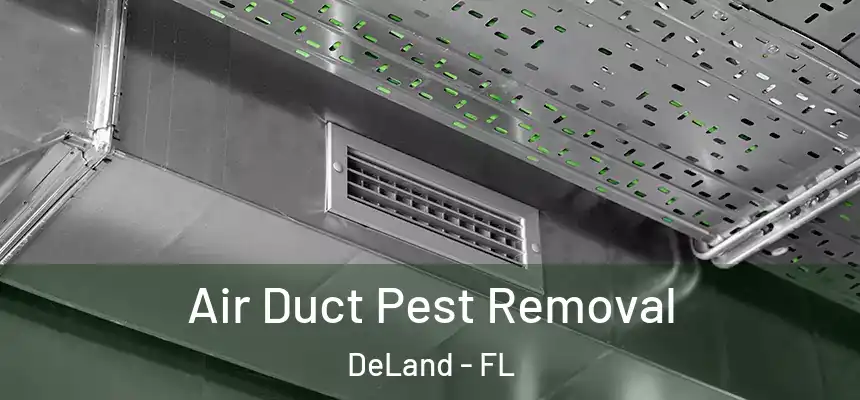 Air Duct Pest Removal DeLand - FL