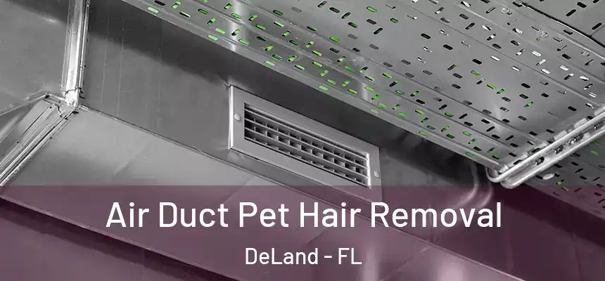 Air Duct Pet Hair Removal DeLand - FL