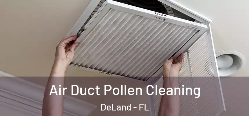 Air Duct Pollen Cleaning DeLand - FL