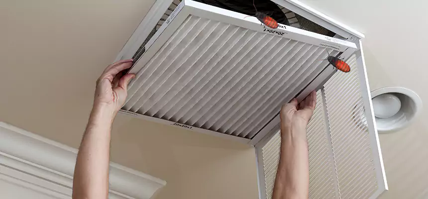 Our Insect Removal from Air Ducts Services in DeLand, FL