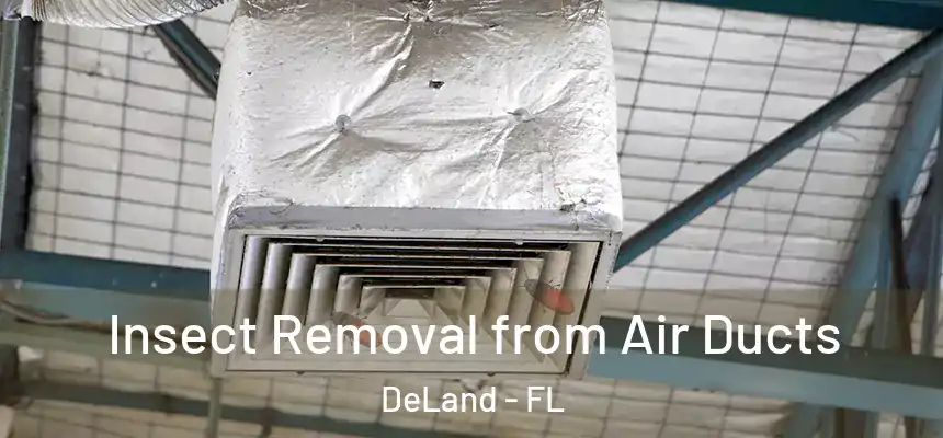 Insect Removal from Air Ducts DeLand - FL