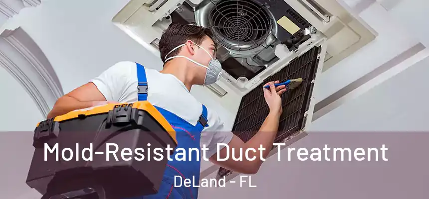 Mold-Resistant Duct Treatment DeLand - FL