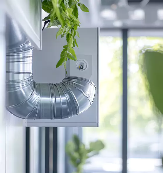 Professional Eco-Safe Dryer Vent Cleaning in DeLand, FL