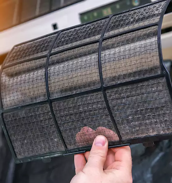 About Pet Dander Duct Cleaning in DeLand, FL